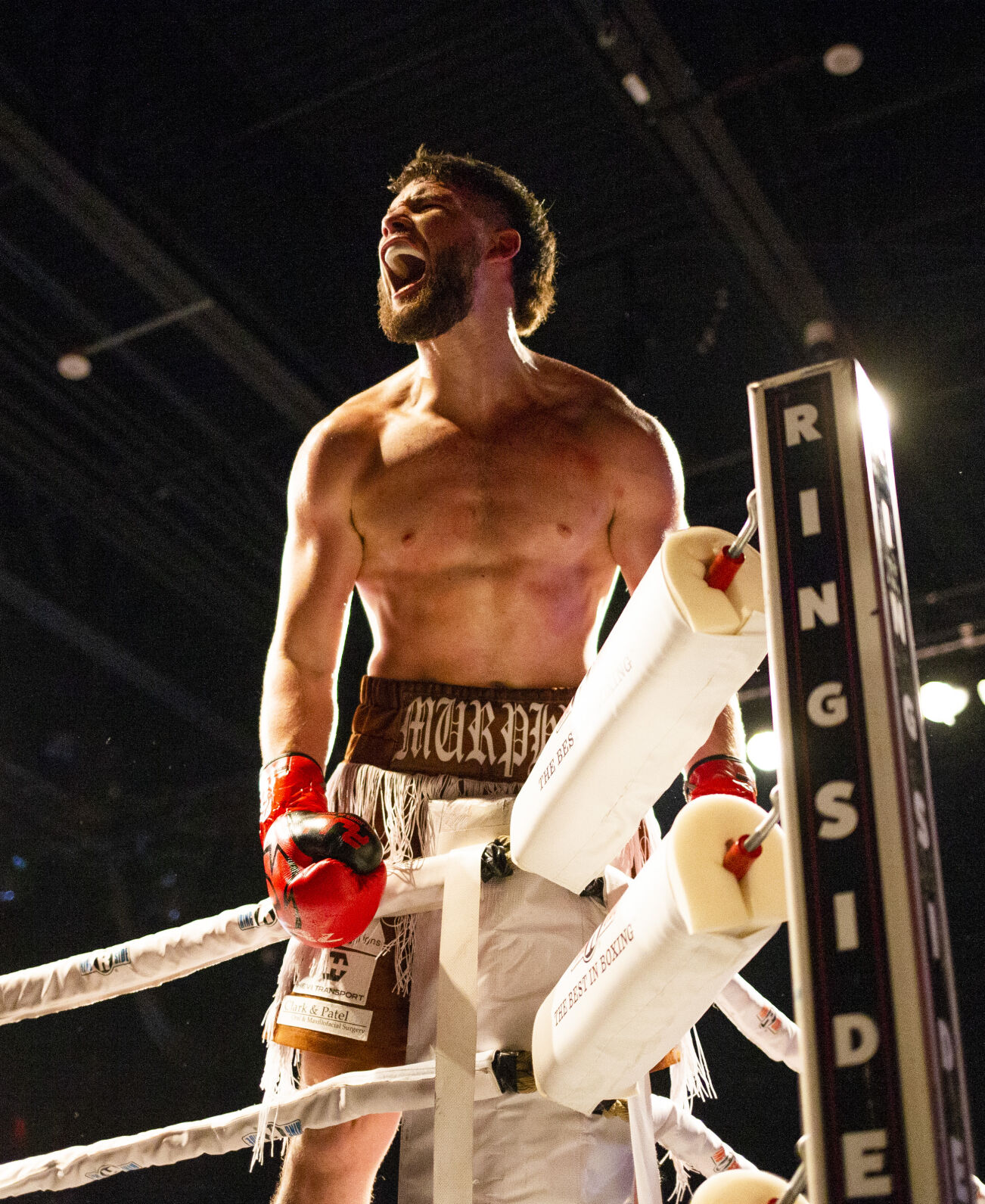 Roy Jones Championship Boxing